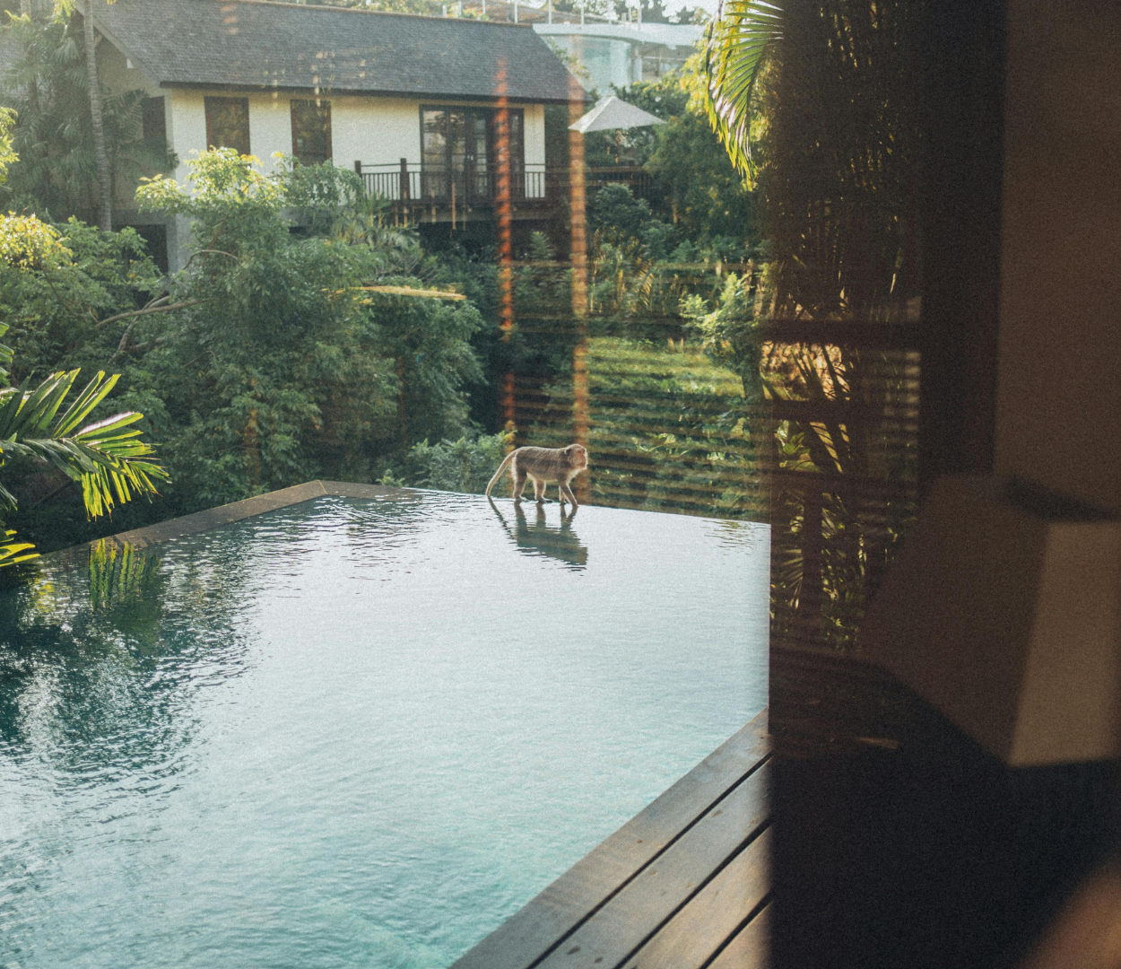 The Ultimate Guide to Pool and Hot Tub Combos