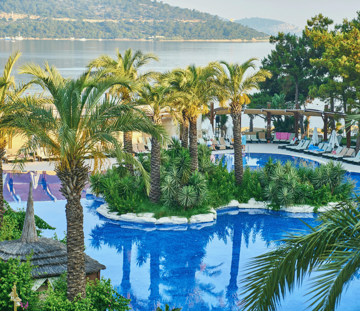 The Chlorine - Pros and Cons for Your Pool