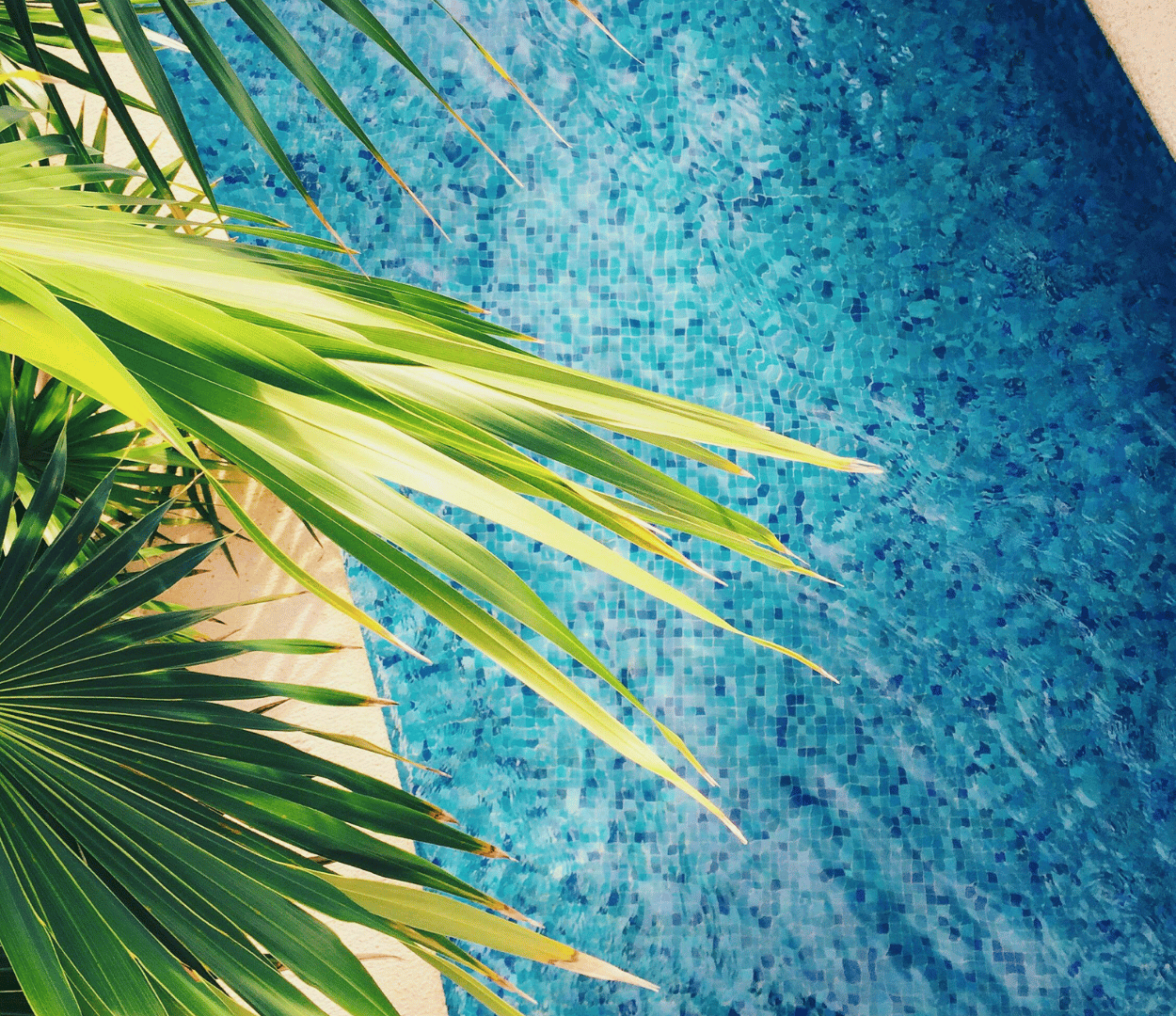 The Noisy Truth About Swimming Pool Pumps
