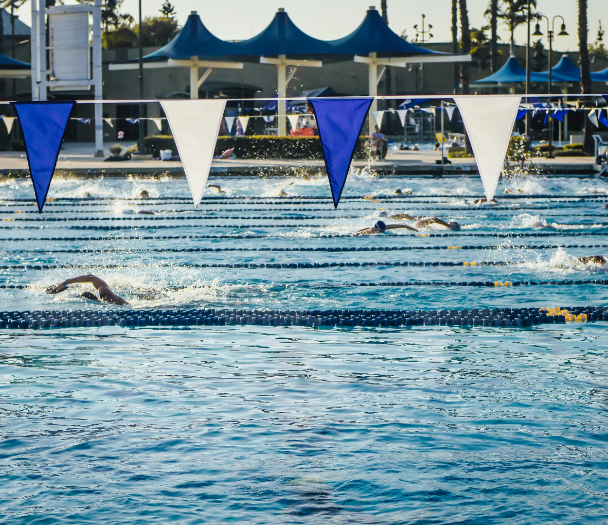 The Ultimate Guide to Repairing Pool Tiles