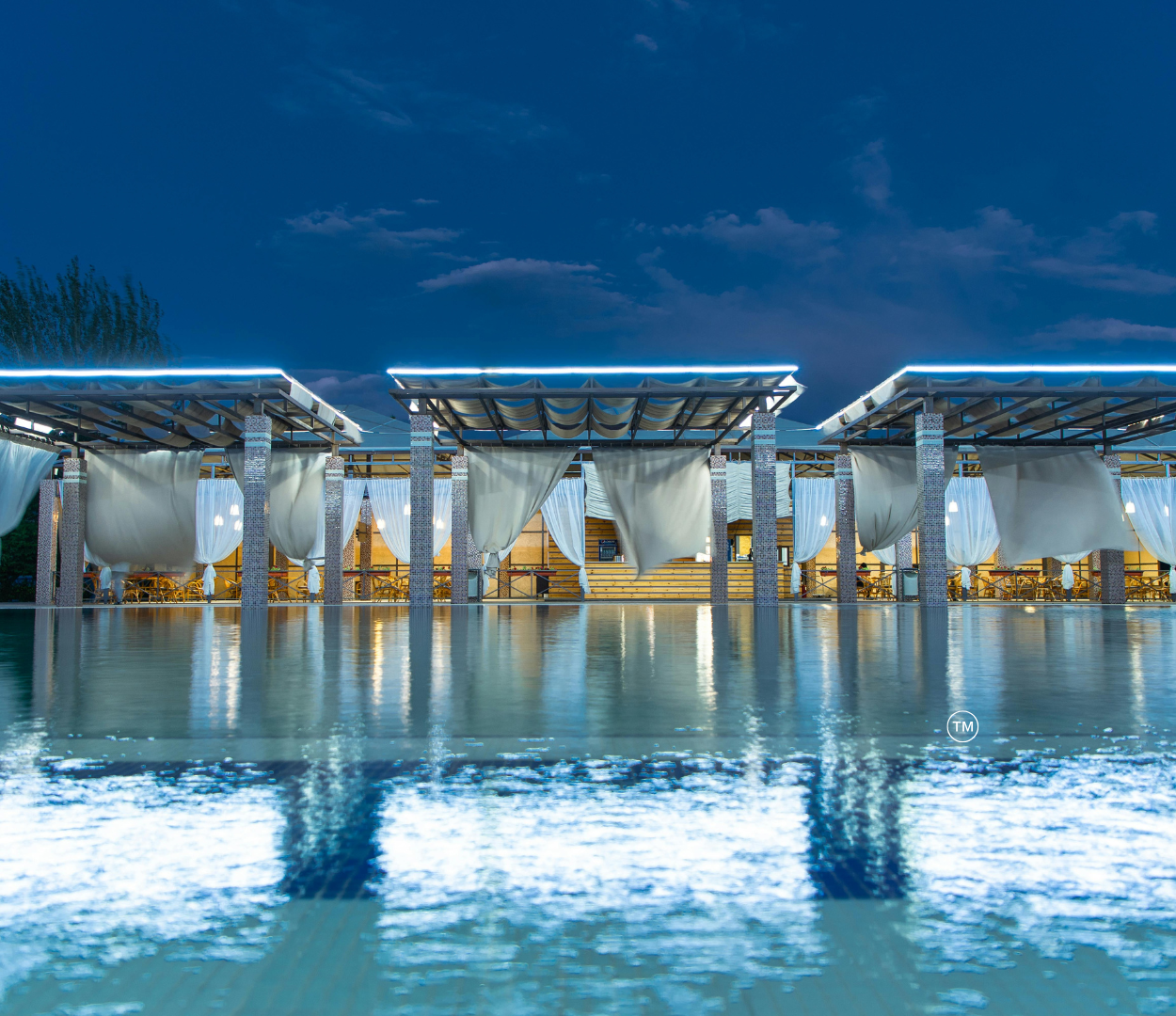 Poolside Plants for Privacy