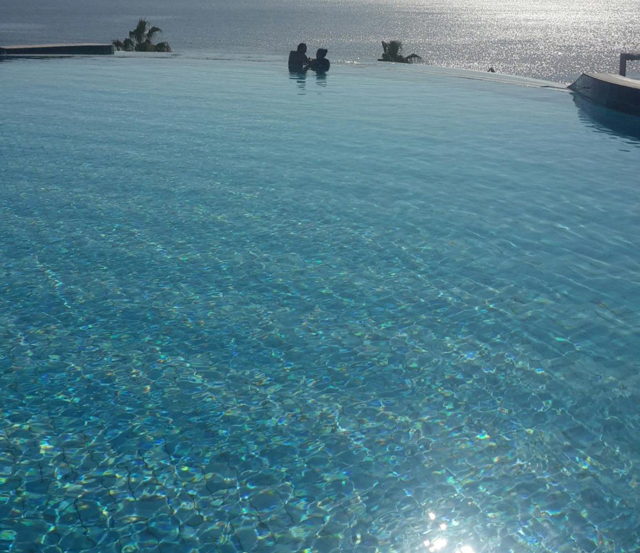 The Best Pool Vacuum Bags for Allergies