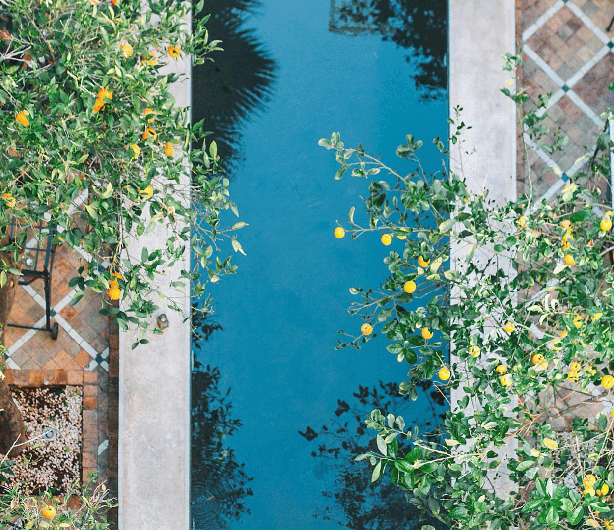 Expert Tips on How to Use a Pool Vacuum Effectively