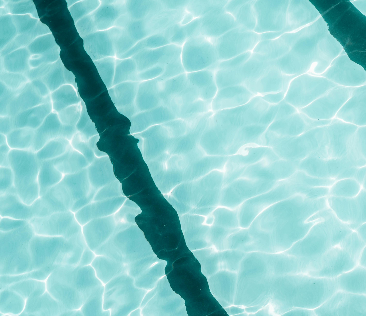 The Future of Pool Cleaning: A Deep Dive into Pool Vacuum Bag Trends