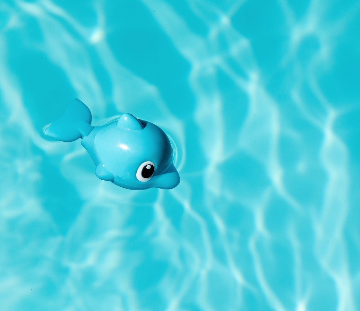 How to Create a Safe Swimming Environment