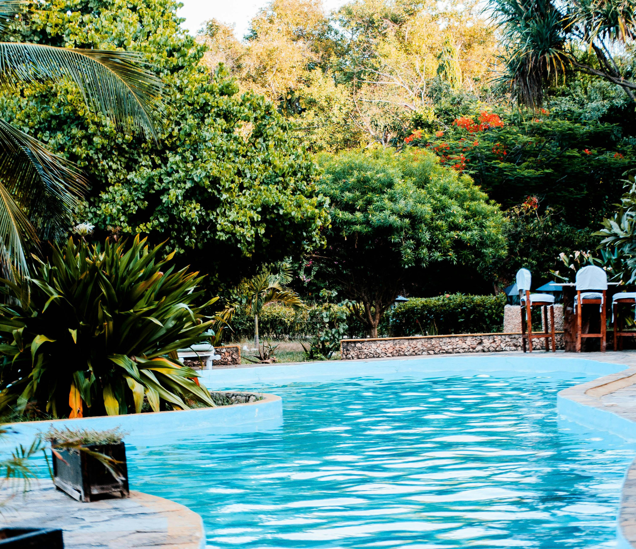 Innovations in Pool Cleaning: The Latest in Pool Vacuum Bag Technology